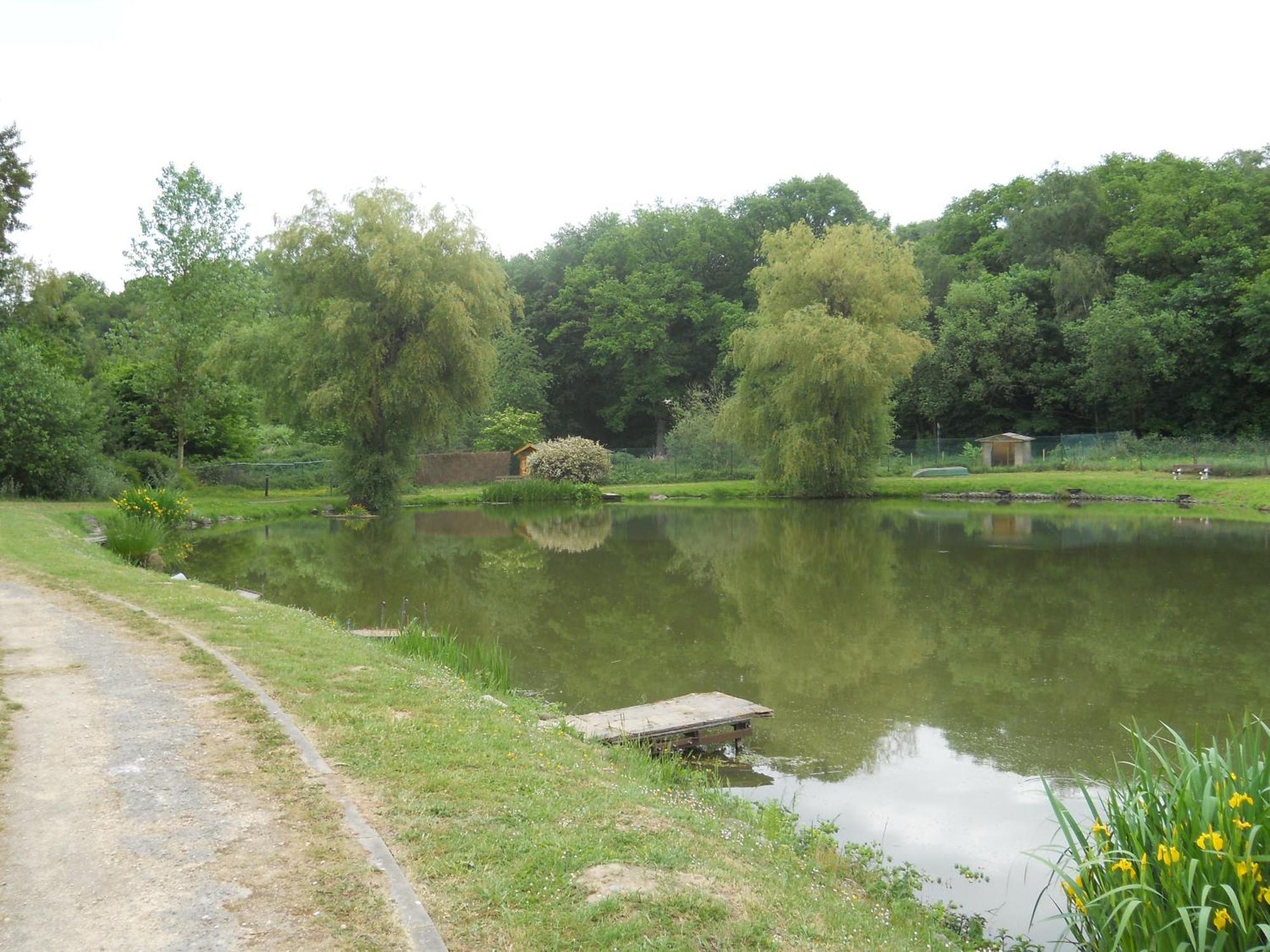 Le Relais De La Haute Sambre Лоб Экстерьер фото